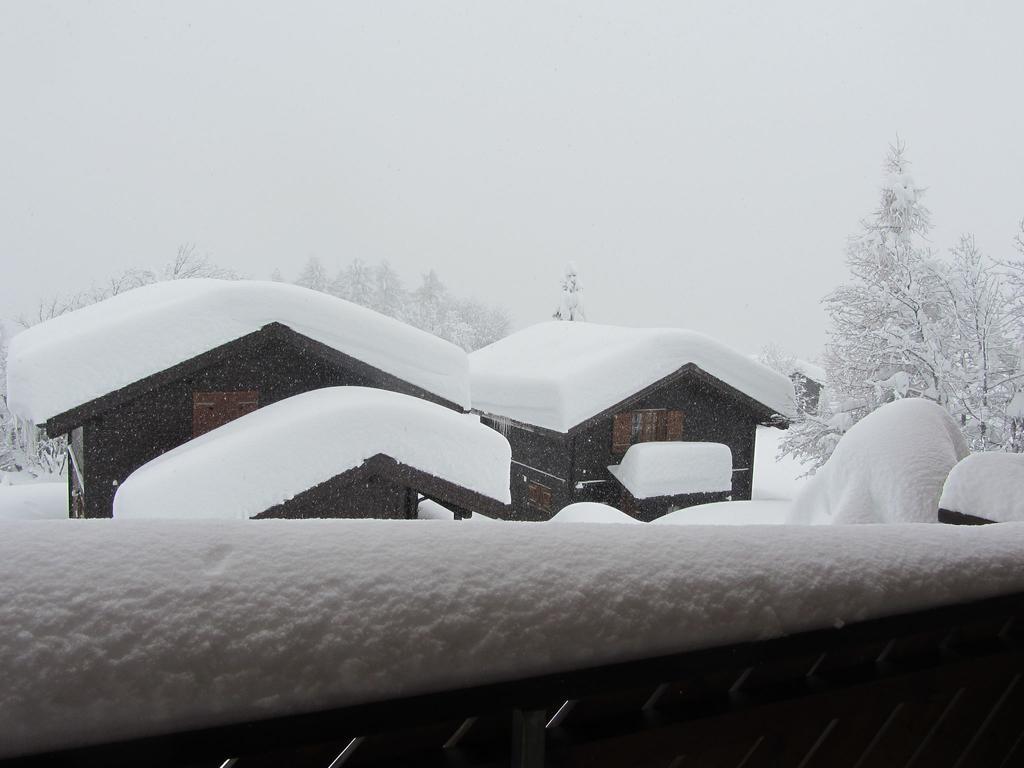 Superb Apartment With Views Of The Alps ベルヴァルト エクステリア 写真