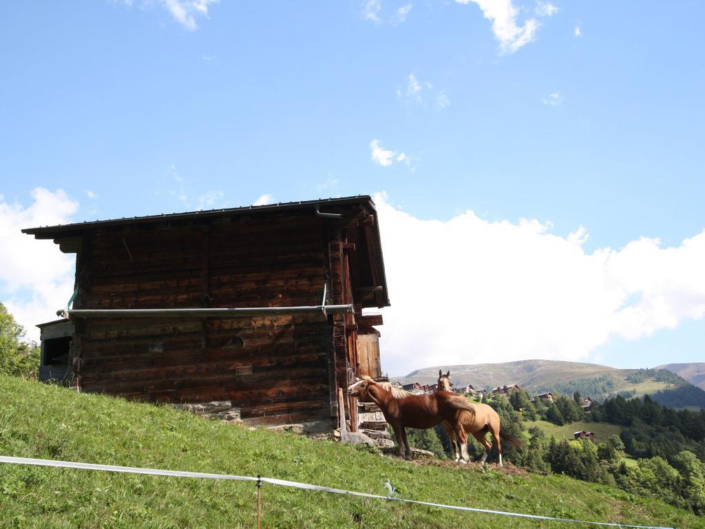 Superb Apartment With Views Of The Alps ベルヴァルト エクステリア 写真